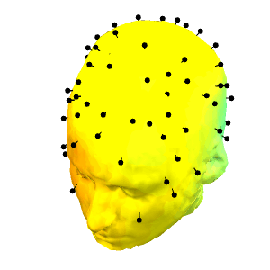 EEG results of an Oddball paradigm